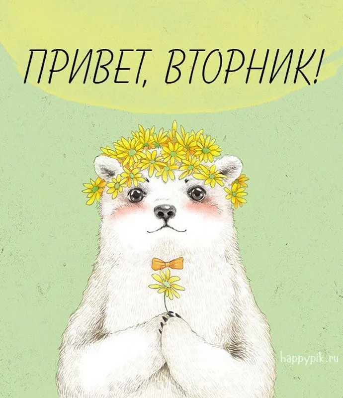 Смешные открытки