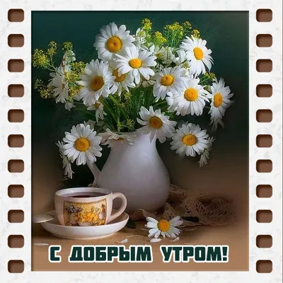 Приветствие доброе утро с цветами и кофе Стоковое Изображение - изображение  насчитывающей бумага, цветки: 176366781