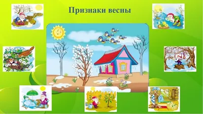 детский сад №8 \"Русалочка\" - средняя группа 4-5 лет