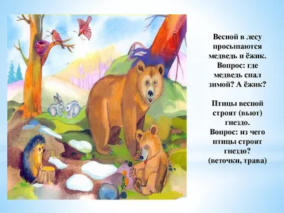 Информационно-познавательный проект «Весна-красавица» - Всероссийские и  международные дистанционные конкурсы для детей - дошкольников и школьников