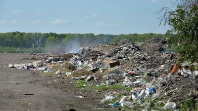 Проблема мусора в России и мире. Как решить проблему мусора