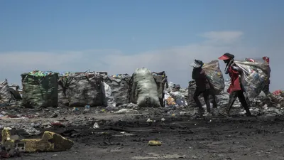 Недостаточный уровень переработки отходов - одна из наиболее весомых  экологических проблем Казахстана | Kazakhstan Today