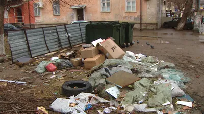 Проблема мусора: вред отходов для окружающей среды и человека