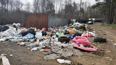 Очистим Кыргызстан от мусора — стали известны результаты эко-конкурса ПРООН  | United Nations Development Programme