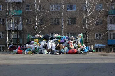 Проблема сортировки и переработки мусора в Оболонском районе – все  подробности | «Моя Оболонь» - портал Оболонского района Киева
