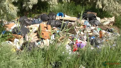 Раздельный сбор мусора в России опять отложили | Пикабу