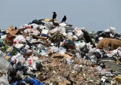 Власти Кургана решают проблему вывоза мусора из «мяготинских» дворов