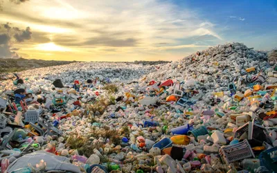 История появления и развития проблемы мусора