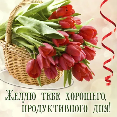 Открытка - хорошего, продуктивного дня и корзинка тюльпанов