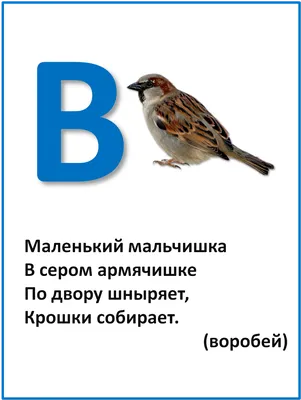 Как составить азбуку загадок 1 класс (задание для первого класса), примеры?