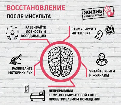 Профилактика инсульта — Профилактика заболеваний и ЗОЖ — Бюджетное  учреждение Ханты-Мансийского автономного округа - Югры - «Сургутская  городская клиническая поликлиника №1»