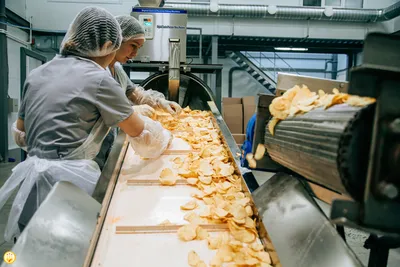 Производство чипсов открылось в Чувашии | Министерство сельского хозяйства  Чувашской Республики