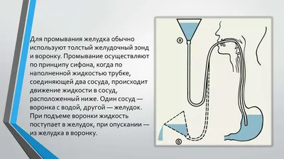 Что можно есть при ротавирусе и как лечить кишечную инфекцию у ребенка -  Газета.Ru