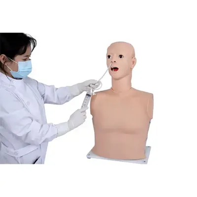 Прозрачный манекен для промывания желудка SC-H80 Half Body Adults  Multifunctional Nursing Training Maniki