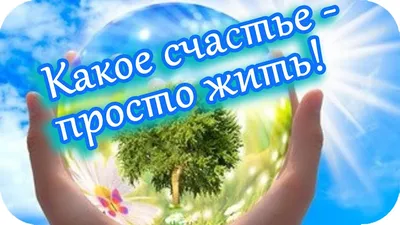 С добрым утром! | Доброе утро, Веселые картинки, Милые котики