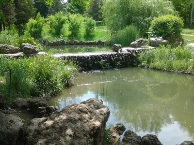 Искусственный пруд на участке загородного дома, декоративные водоемы на даче.  Устройство и оформление декоративного пруда на дачном или садовом участке