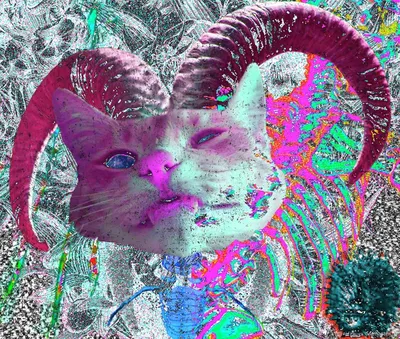 Картина по номерам Грибы психоделические / Mushrooms psychedelic холст на  подрамнике 40*60 - купить с доставкой по выгодным ценам в интернет-магазине  OZON (663082815)