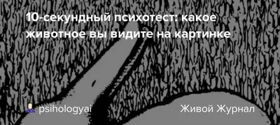 Этот психологический тест поможет узнать ваши скрытые черты характера —  УНИАН