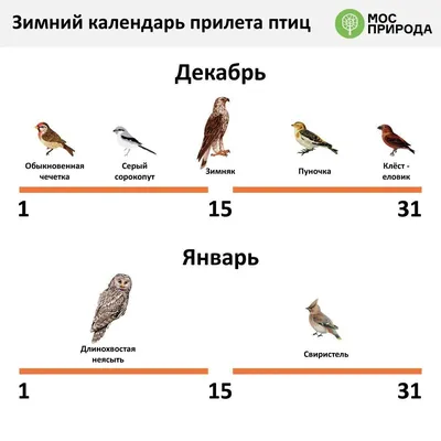 Птицы Северного Кавказа (Кабардино-Балкарии)