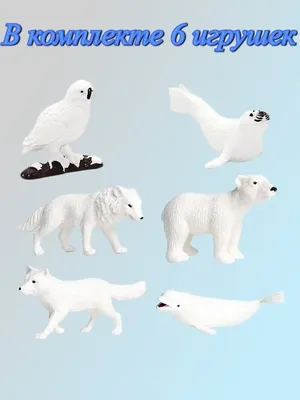 Магнитная игра Харди Гарди животные севера и юга дикие и домашние купить по  цене 624 ₽ в интернет-магазине Детский мир