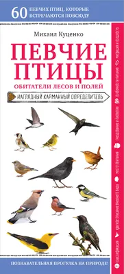 Певчие птицы. Средняя полоса европейской части России. Определитель с  голосами птиц, Евгений Коблик – скачать pdf на ЛитРес