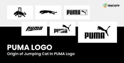 About Pumas – Also Called \"Puma concolor\" - TIERART Wild Animal Sanctuary -  a FOUR PAWS project
