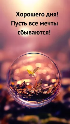 Заказать шары на Сходненской в интернет-магазине Perfectparty.ru с  доставкой по Москве