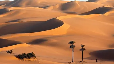 Марокко: Автопутешествие в пустыню Сахара - купить тур по цене 600 €