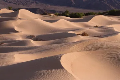 Пустыни Узбекистана