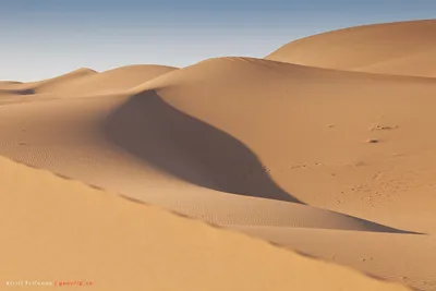 Пустыня Песок Дюны - Бесплатное изображение на Pixabay - Pixabay