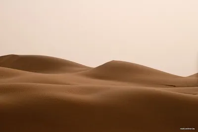 Выжить в пустыне: как итальянец провел в Сахаре 10 дней без воды —  27.10.2021 — В мире, Lifestyle на РЕН ТВ