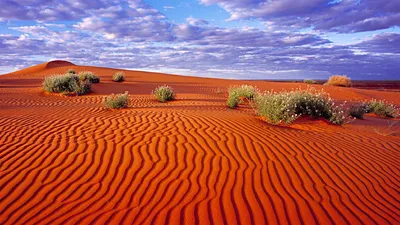 Где находится самая северная пустыня и почему пески умеют «петь»