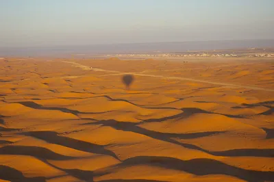 Расцвела самая засушливая пустыня в мире - пустыня Атакама