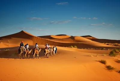 Царь-пустыня: зачем ехать в Мавританию