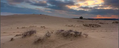 Пустыня Гоби – Радио Искатель