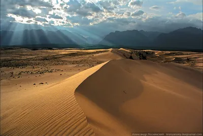 Раскрыта причина появления самой крупной пустыни мира - 01.02.2021, Sputnik  Таджикистан