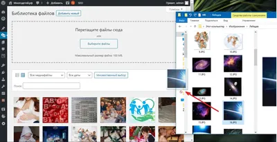 Не получается подключить картинку в Wordpress (на Woocommerce single  product page), путь прописан правильно - Stack Overflow на русском