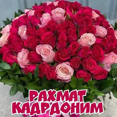 Pin by Максуда Каримова on Рахмат сизга кадрдоним | Floral wreath, Happy  birthday to you, Floral