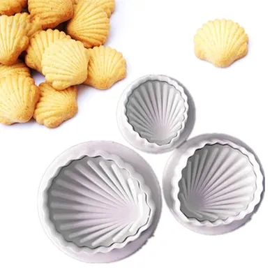 Shells. Ракушки. PNG. | Ракушки, Обои фоны, Раскраски