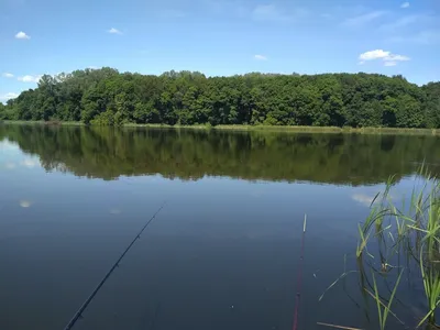 Рандомные фото водоемов, раков и рыбы | Пикабу