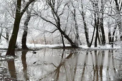 Прогноз погоды на весну 2023 в Украине - будет ли ранняя весна | РБК Украина