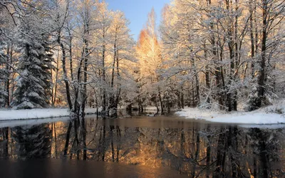 Ранняя зима (137 фото) - 137 фото