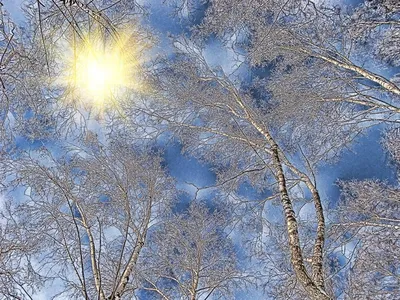 Ранняя зима... :: Pavel Kravchenko – Социальная сеть ФотоКто