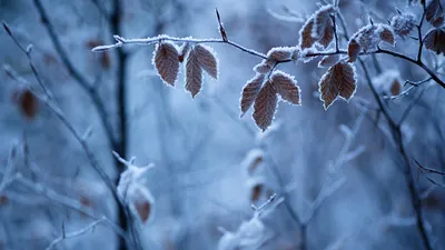 Фото: Ранняя зима в долине Цзючжайгоу _russian.china.org.cn