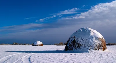 Ранняя зима в лесах Словакии, 2019. Автор Петер Свобода