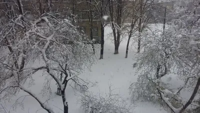 Ранняя зима | Снег, Природа, Зима
