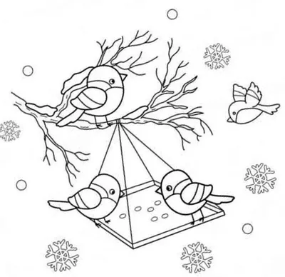Раскраски Зимующих птиц распечатать или скачать бесплатно в формате PDF.