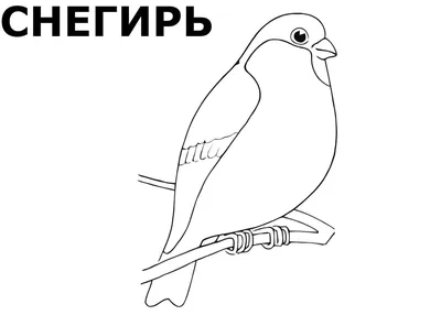Иллюстрация 1 из 25 для Птицы. Детская раскраска | Лабиринт - книги.  Источник: Лабиринт