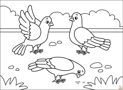 Раскраски Зимующие птицы синица (36 шт.) - скачать или распечатать  бесплатно #19850