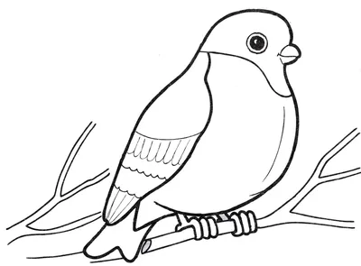 Зимующие птицы - Разукрашки - Страна Мам